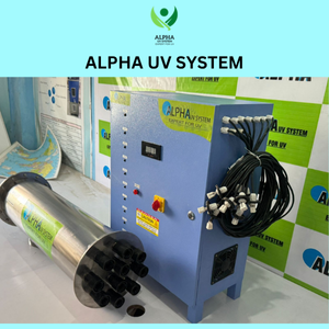 10 TUBE UV PERFECT PHOTO 2